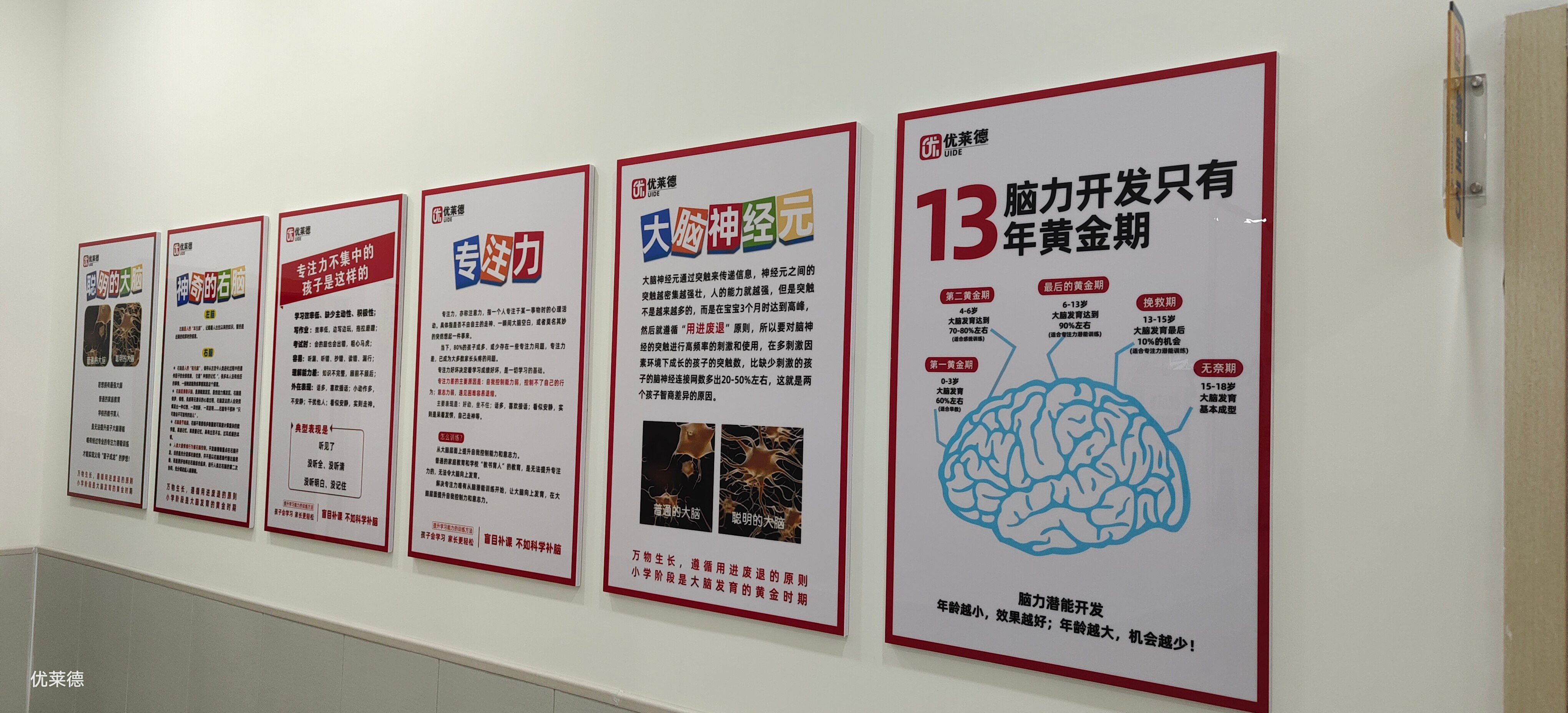 优莱德专注力